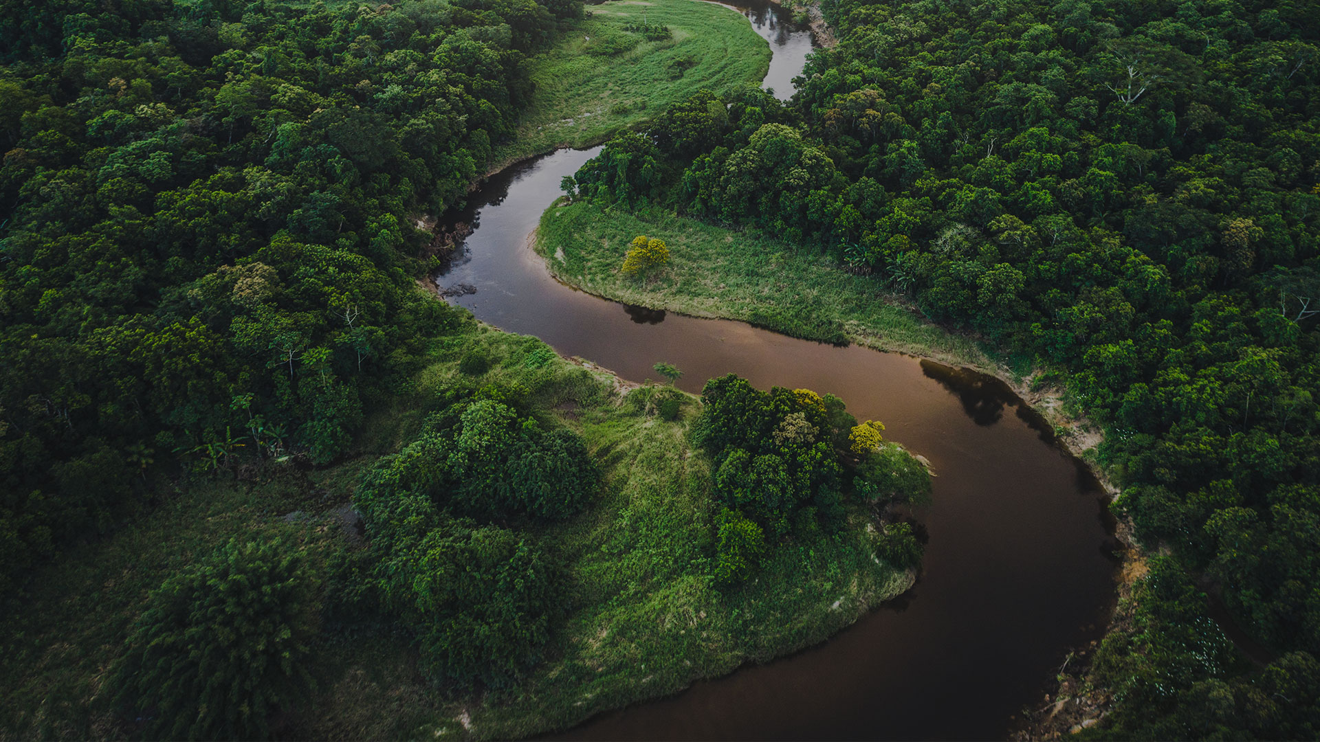 How Digital Transformation Can Help Companies Survive COVID-19 How Digital Transformation Can Help Companies Survive COVID-19