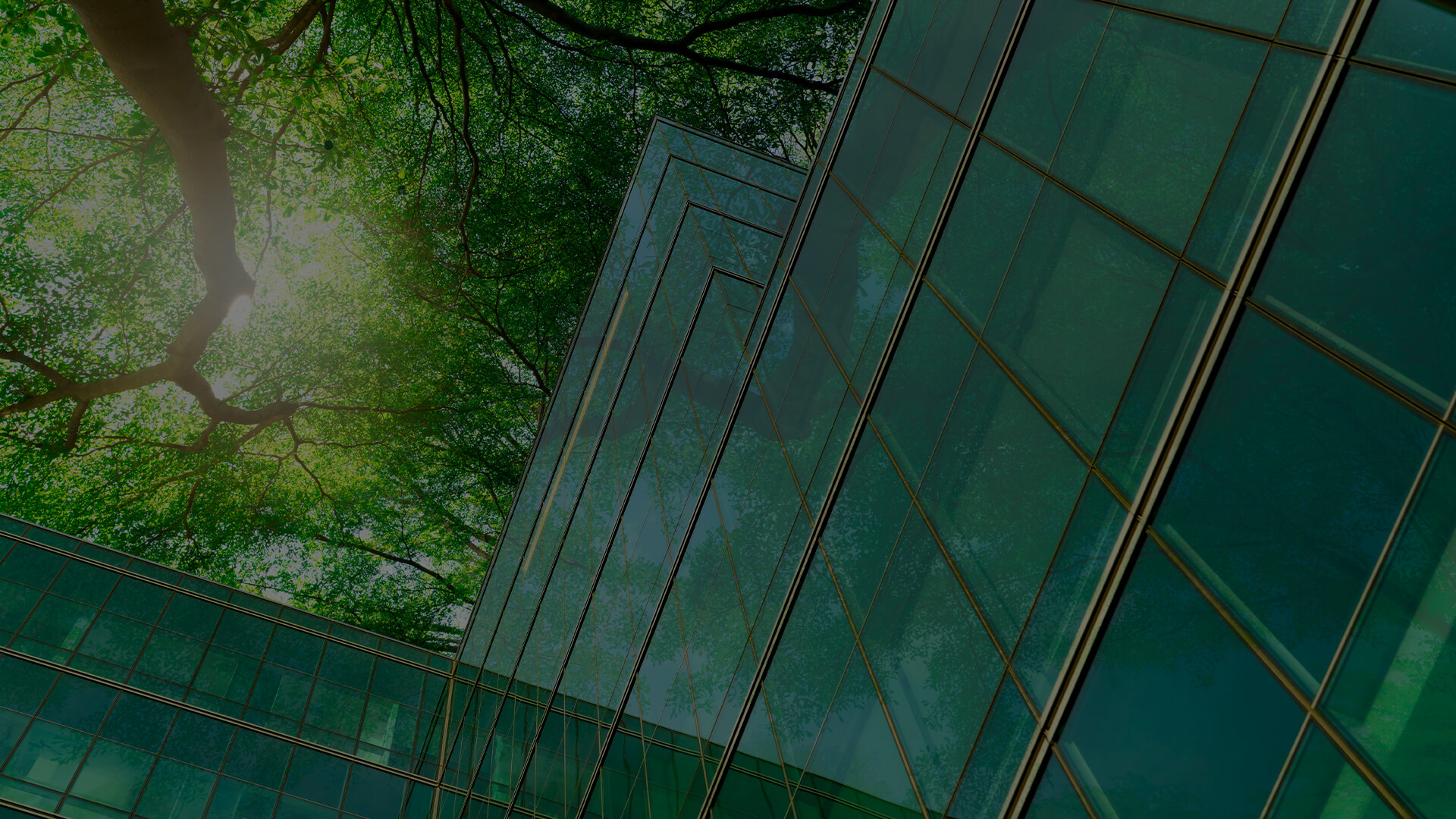 A modern building surrounded by lush green trees, illustrating the integration of green architecture and sustainable business practices in urban environments.