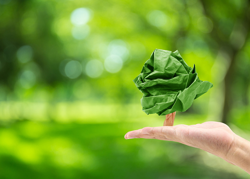 Paper Digitization: a green background with a hand holding a small tree made of paper